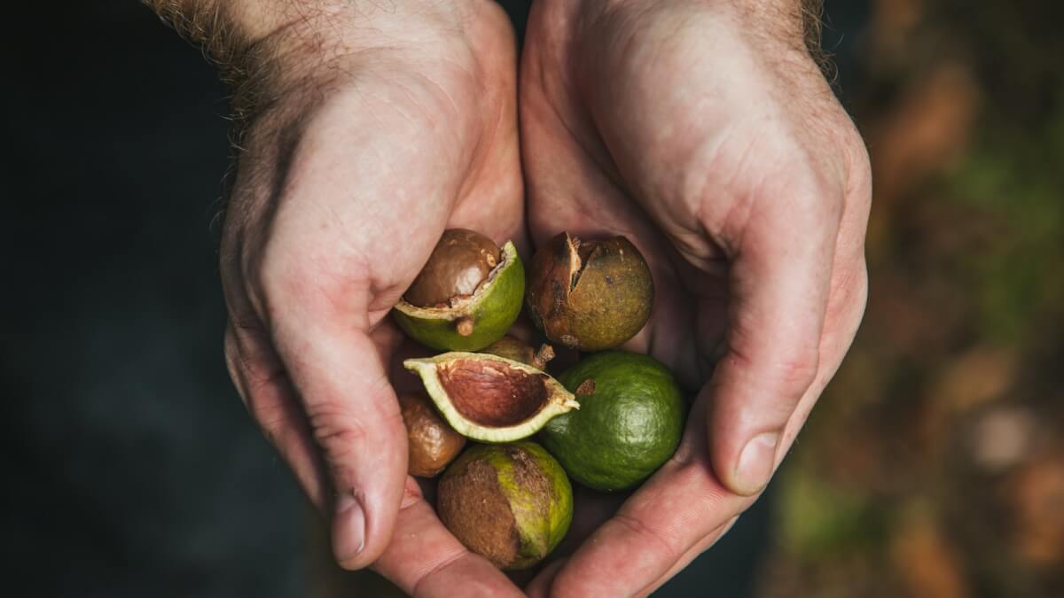 Pistachios: The Protein-Packed Snack That Helps Control Blood Sugar