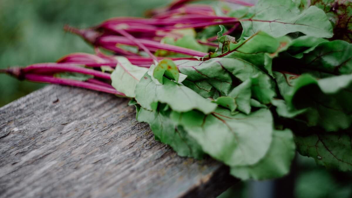 How to Reduce Your Risk of Heart Disease with a Healthy Diet